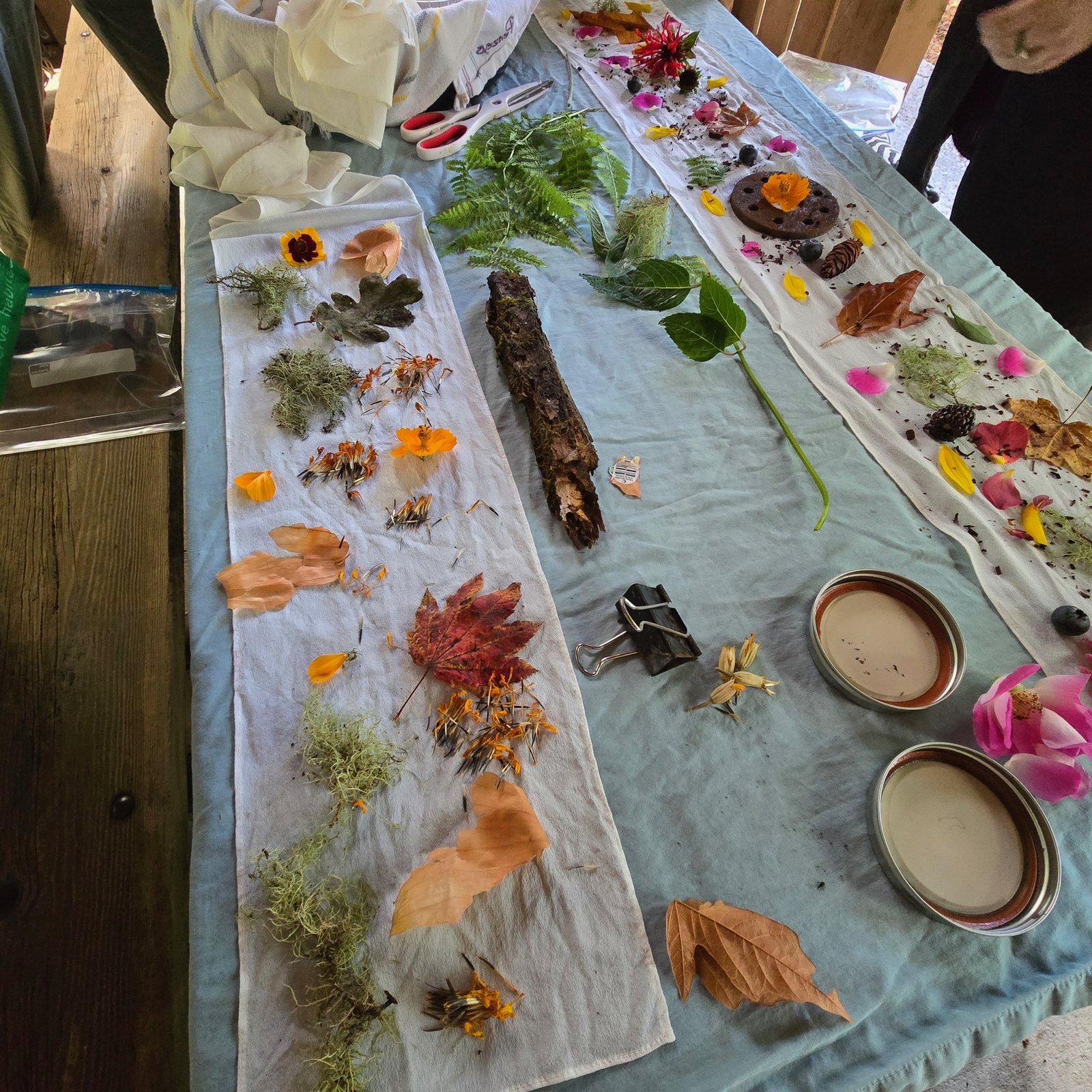Botanical Bundle Dyeing with Sarah- 7/17