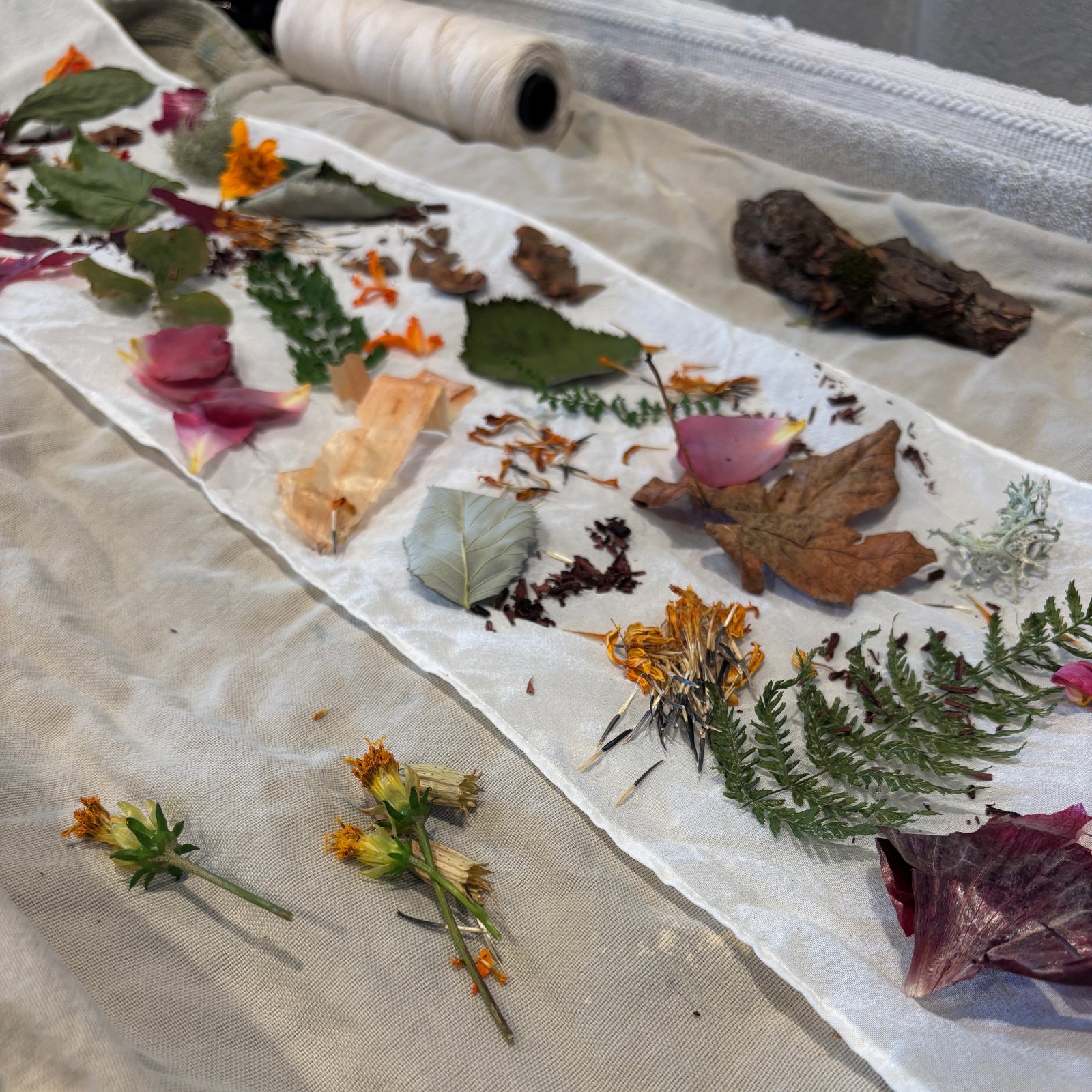 Botanical Bundle Dyeing with Sarah- 7/17