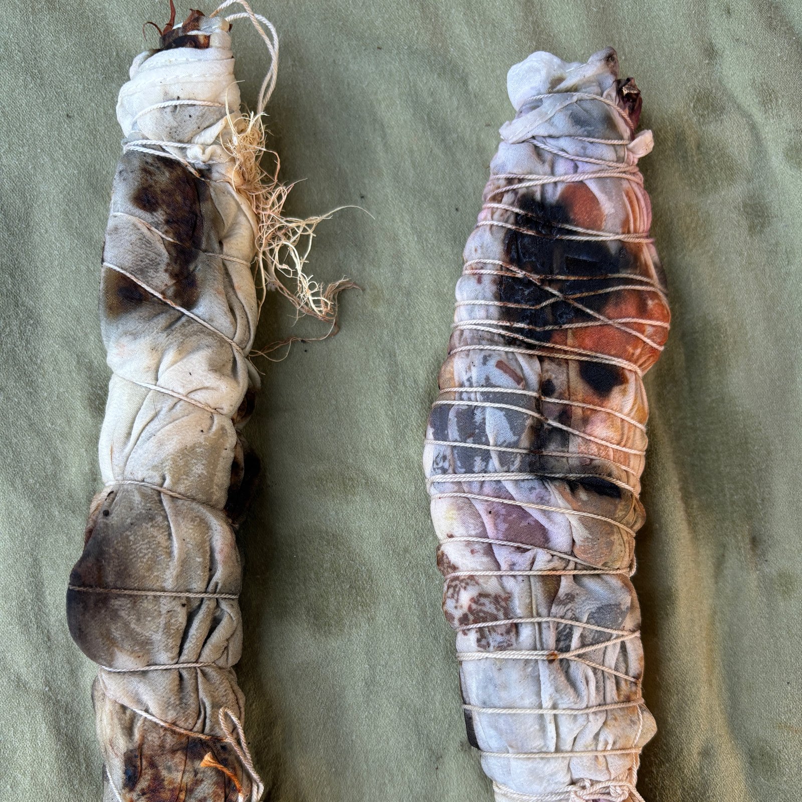 Botanical Bundle Dyeing with Sarah- 7/17