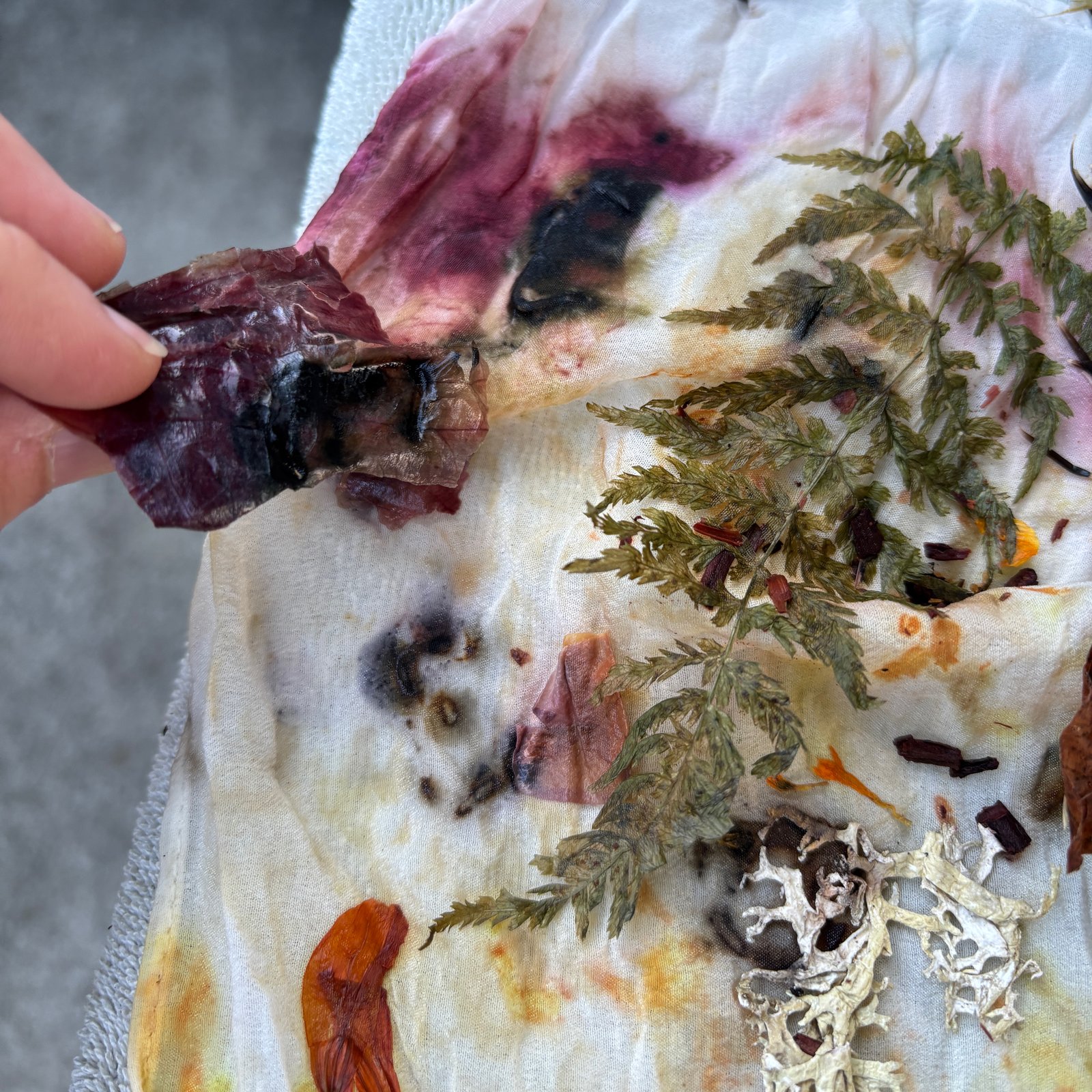 Botanical Bundle Dyeing with Sarah- 7/17