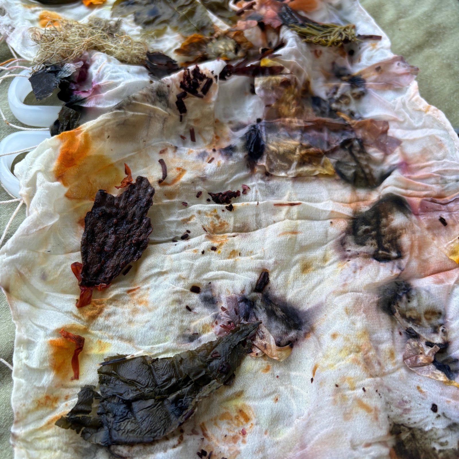 Botanical Bundle Dyeing with Sarah- 7/17